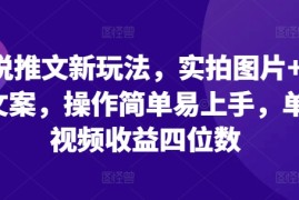 小说推文新玩法，实拍图片 小说文案，操作简单易上手，单条视频收益四位数