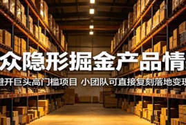 小众隐形掘金产品情报：避开巨头高门槛项目，小团队可直接复刻落地变现