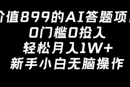 价值899的AI答题项目，0门槛0投入，轻松月入1W ，新手小白无脑操作