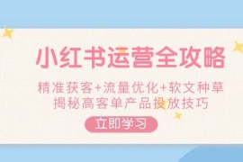 （14207期）小红书运营全攻略，精准获客 流量优化 软文种草，揭秘高客单产品投放技巧