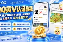 QQ黄V认证教程，个人主资料显示黄V认证，独家教程，本来 8888 卖 现在免费发放
