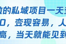 好做的私域项目一天变现1k ，变现容易，人群占比高，当天就能见到钱