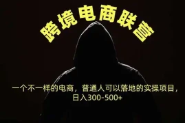 跨境电商联营，一个不一样的电商，普通人可操作日入300-500 