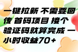 （15588期）一键拉新 不需要回传 首码项目 接个验证码就算完成 一小时收益70 