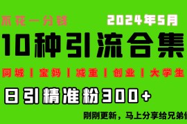 （10545期）0投入，每天搞300 “同城、宝妈、减重、创业、大学生”等10大流量！