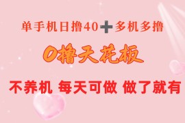 （10670期）0撸天花板 单手机日收益40  2台80  单人可操作10台 做了就有 长期稳定