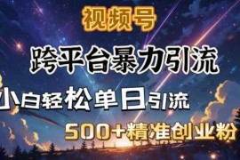 跨平台暴力引流，私域完美闭环，日引500 精准创业粉