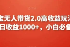 支付宝无人带货2.0高收益玩法，亲测单日收益1000 ，小白必备项目【揭秘】