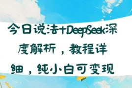 今日说法 DeepSeek深度解析，教程详细，纯小白可变现