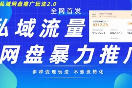 最新暴力私域网盘拉新玩法2.0，多种变现模式，并打造私域回流，轻松日入500 【揭秘】