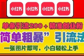 12月底小红书”简单粗暴“引流法，单条引流200 精准创业粉
