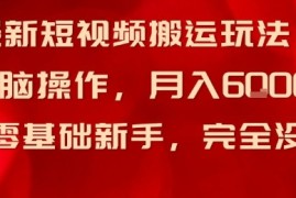 最新短视频搬运玩法，无脑操作，月入6k 适合零基础新手，完全没门槛