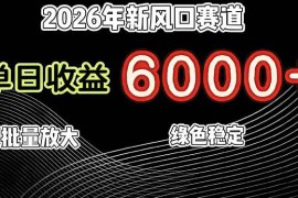 （17135期）2026年新风口赛道，当日6000 以上，可批量放大，月收入20万 ，长期绿色稳定的项目