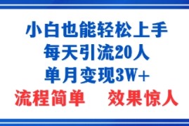 小白也能轻松上手的宝妈项目，每天引流20人，单月变现3W ，流程简单，效果惊人