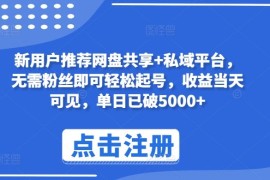 新用户推荐网盘共享 私域平台，无需粉丝即可轻松起号，收益当天可见，单日已破5000 【揭秘】