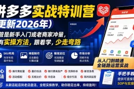 拼多多实战特训营(更新26年0827