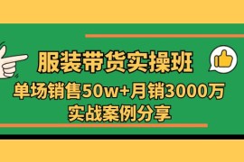 （11071期）服装带货实操培训班：单场销售50w 月销3000万实战案例分享（27节）