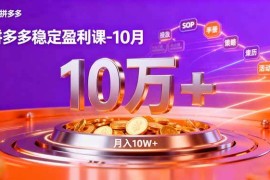 （16413期）拼多多稳定盈利课-10月，强付费SOP 微付费高投产 活动矩阵，单店月入10万 
