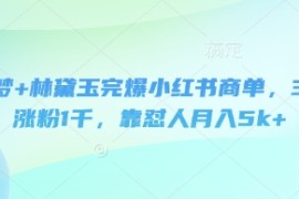 即梦 林黛玉完爆小红书商单，3天涨粉1千，靠怼人月入5k 