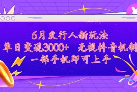 （11092期）发行人计划最新玩法，单日变现3000 ，简单好上手，内容比较干货，看完…