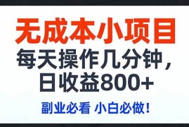 （17447期）无成本小项目,每天操作几分钟,日收益800  副业必看 小白必做！