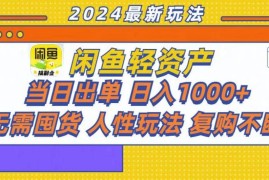 （13181期）咸鱼轻资产当日出单，轻松日入1000 