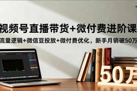 视频号直播带货 微付费进阶课：流量逻辑 微信豆投放 微付费优化，新手月销破50万