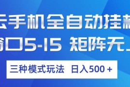 云手机全自动挂G，单窗口5-15，矩阵无上限，三种模式玩法，日入5张 【揭秘】