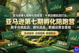 亚马逊第七期孵化陪跑营｜千单店铺实战打法，新手合规起店、避坑选品、数据运营全落地