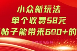 小众新玩法单个收费58米每篇帖子能带来6张 的收益
