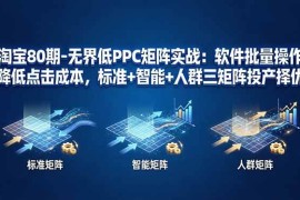 （17987期）淘宝80期-无界低PPC矩阵实战：软件批量操作降低点击成本，标准 智能 人群三矩阵投产择优