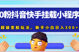 0粉抖音快手挂载小程序，超级变脸玩法。新手小白日入300 