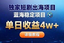 全网独家短剧出海掘金 蓝海红利 单日最高收益5w 