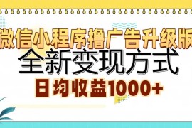 （13138期）微信小程序撸广告升级版，全新变现方式，日均收益1000 