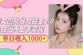 （12695期）美女图片暴力掘金2.0，轻松日入1000 ，简单易上手