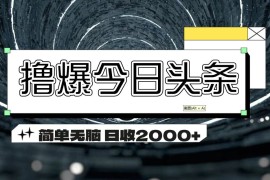 （11665期）撸爆今日头条 简单无脑操作 日收2000 