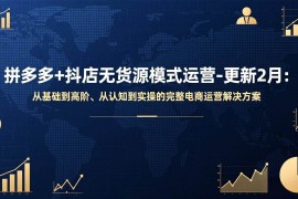 （17367期）拼多多 抖店无货源模式运营-更新2月：从基础到高阶、从认知到实操的完整电商运营解决方案