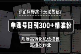 （15466期）评论区野路子玩法揭秘！单账号日引300 精准粉，附赠高转化私信模板，直…