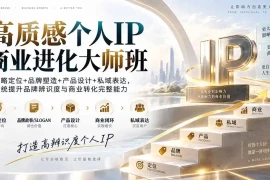 高质感个人IP商业进化大师班：战略定位 品牌塑造 产品设计 私域表达，系统提升品牌辨识度与商业转化完整能力