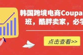 韩国跨境电商Coupang高阶班，酷胖卖家，必学课程