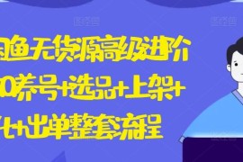 2024闲鱼无货源高级进阶卖货5.0.养号 选品 上架 优化 出单整套流程【揭秘】