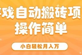（15420期）游戏自动搬砖项目，小白轻松月入万，操作简单