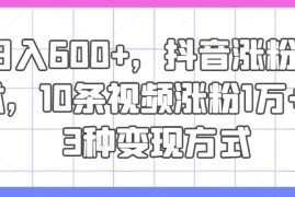 日入600 ，抖音涨粉技术，10条视频涨粉1万 ，3种变现方式【揭秘】