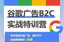 谷歌广告B2C实战特训营，500 谷歌账户总结经验，实战演示如何从0-1搭建广告账户