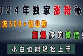 2024年独家涨粉秘籍，日引流300 创业粉，加爆你的微信好友，小白也能轻松上手