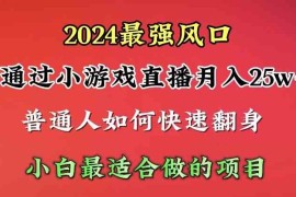 （10020期）2024年最强风口，通过小游戏直播月入25w 单日收益5000 小白最适合做的项目