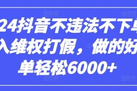 2024抖音不违法不下单0投入维权打假，做的好一单轻松6000 【仅揭秘】