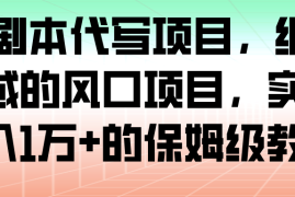 AI 剧本代写项目，细分领域的风口项目，实测月入1万 的保姆级教程