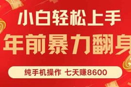 （16080期）七天狂赚8600，小白纯手机操作，日入1000 