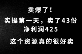 这个资源，需求很大，实操第一天卖了43份，净利润425